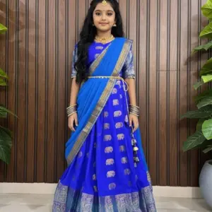 Traditional Pure Silk Fully Stitched Lehenga Choli Set