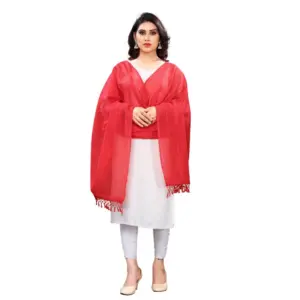 Generic Women's Cotton Silk Strips Printed Dupatta (Red, Length:2-2.4 mtr)