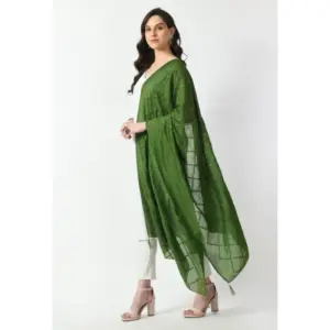 Generic Women's Chanderi Self Design Dupatta (Mehandi, Length: Free Size)