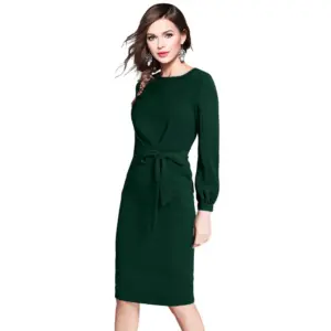 Generic Women's Knitting stretchable Solid Round Neck Full Sleeve Dress (Green)