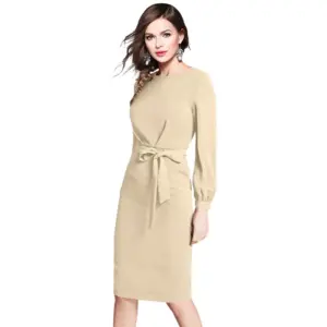 Generic Women's Knitting stretchable Solid Round Neck Full Sleeve Dress (Beige )