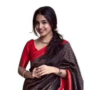 Women's Silk Printed Saree with Blouse – Brown