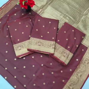 Bridal Silk Saree with Rich Pallu and Blouse