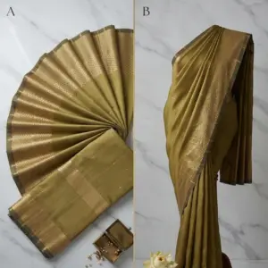 Tissue Saree with Blouse