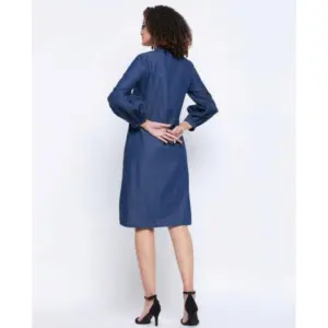 Generic Women's Casual Denim Full sleeve Dress (Blue)