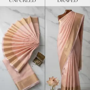Tissue Saree with Blouse