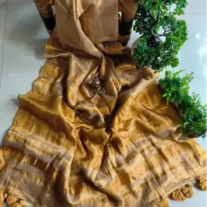 Gold Tissue Saree with Blouse