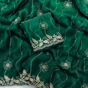 Fancy Space Silk Saree with Sequin Embroidery & C Pallu